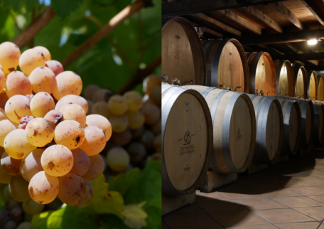 Présentation Gamme Domaine des Forges